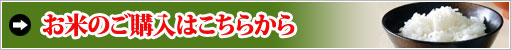 お米の購入はこちらから